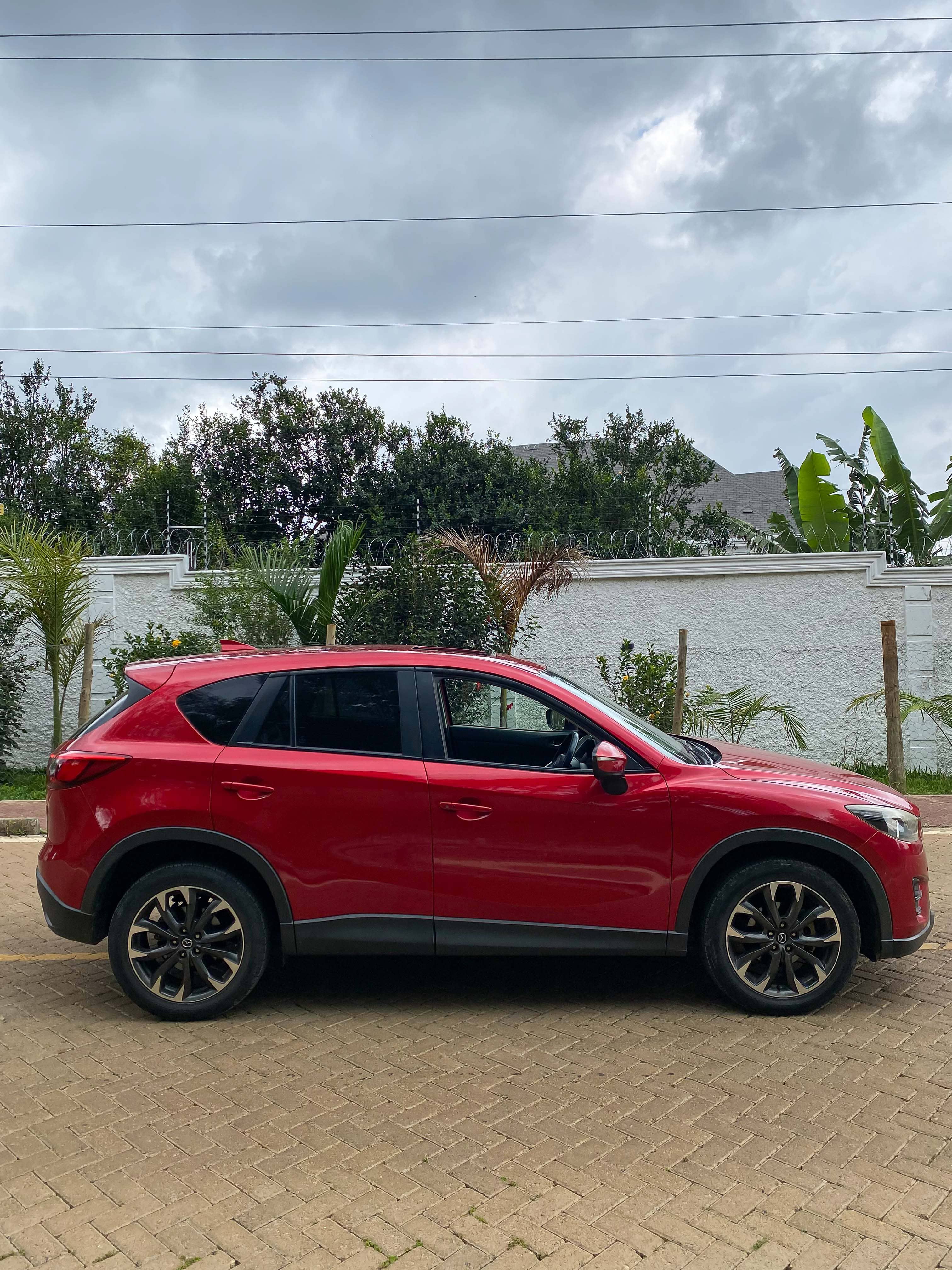 Car photo 4