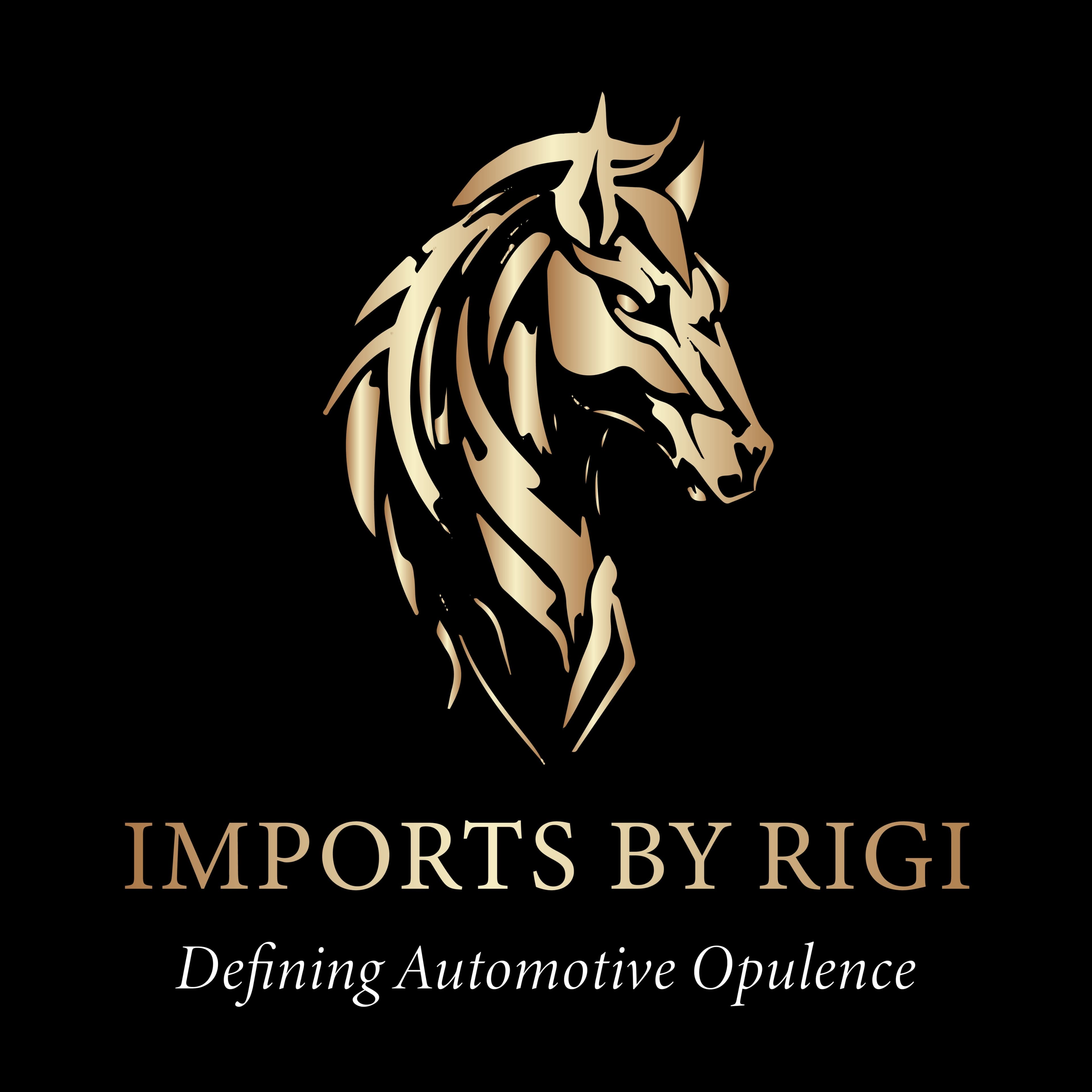 IMPORTS BY RIGI LIMITED