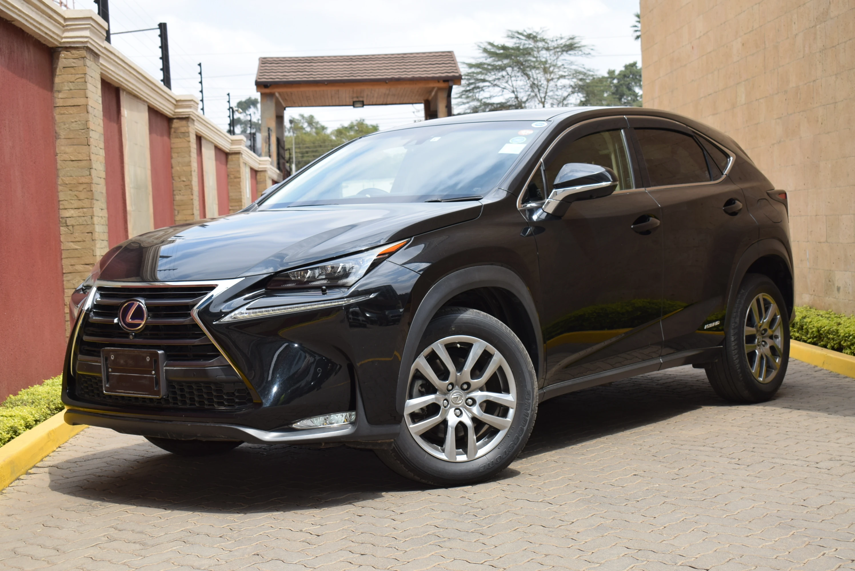 LEXUS NX