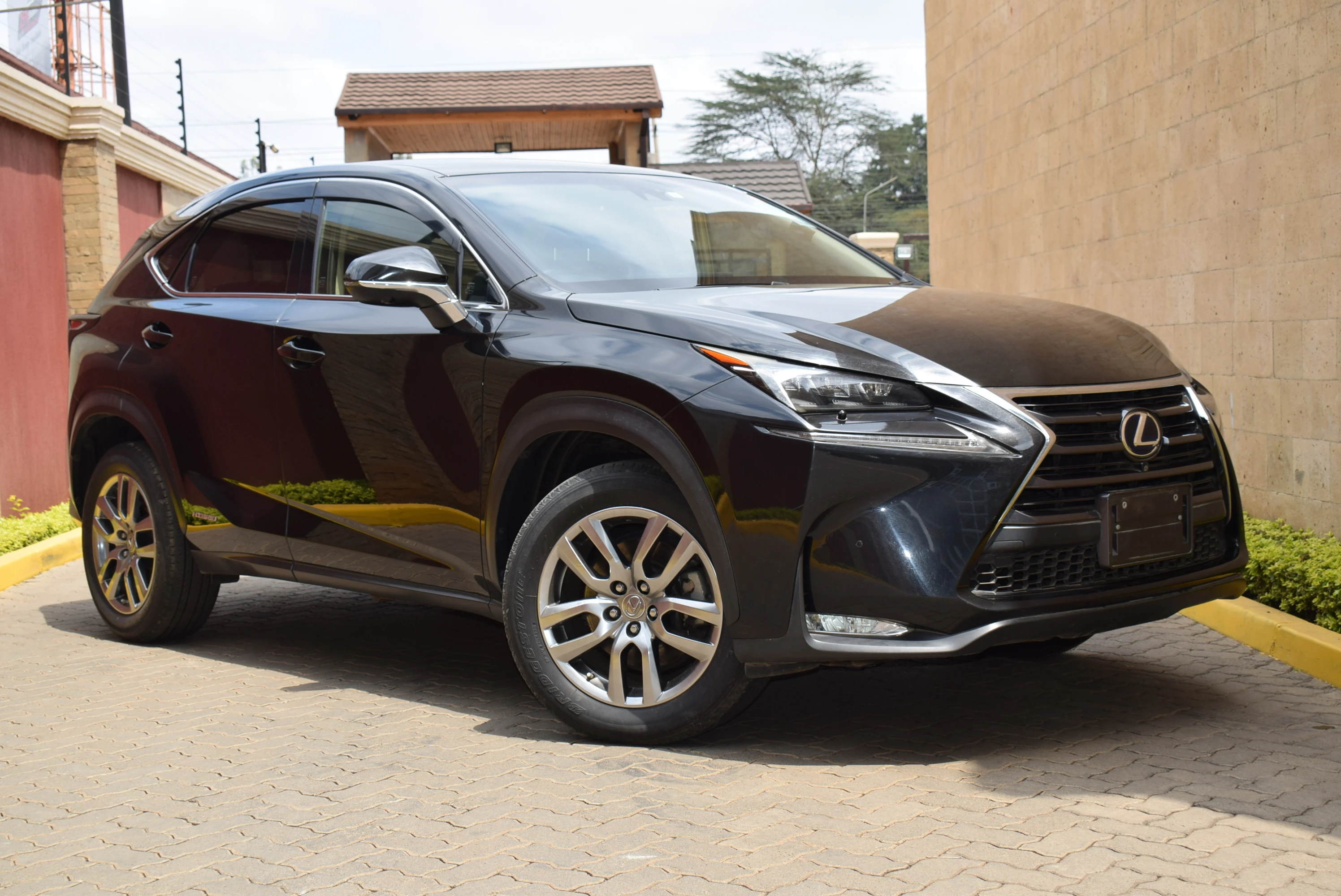 LEXUS NX